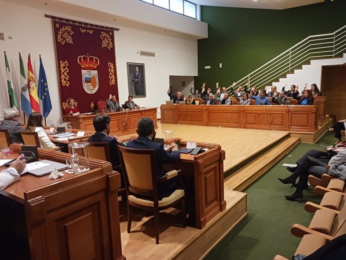 Pleno extraordinario del Ayuntamiento de Torremolinos