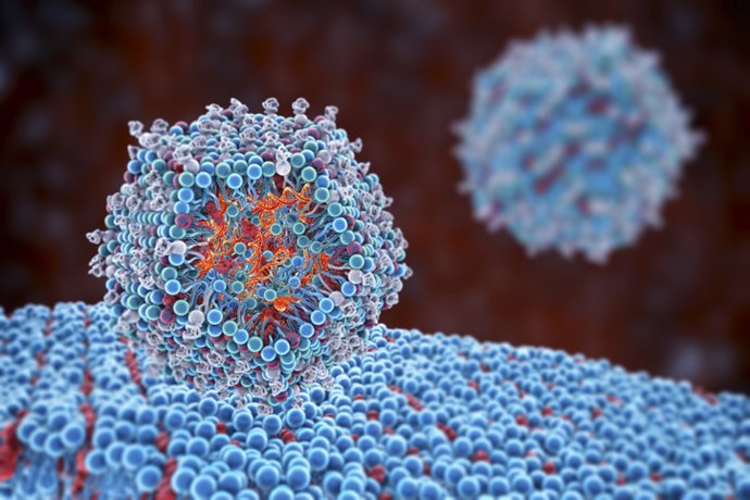 Archivo - Vacuna de ARNm de nanopartículas lipídicas