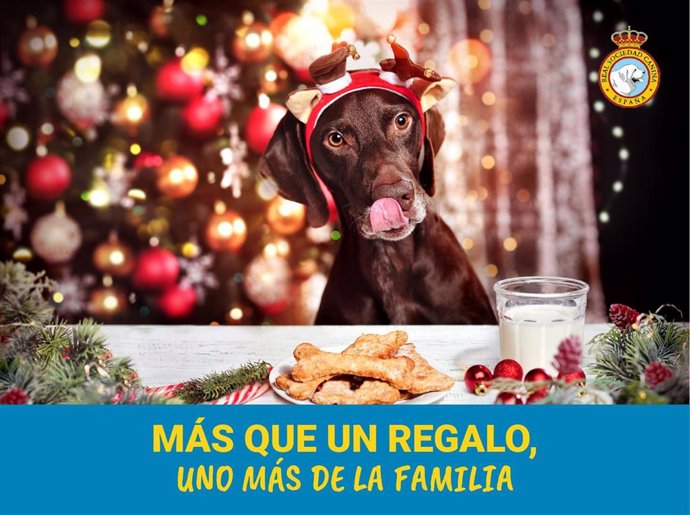 Campaña 'Más que un regalo, uno más de la familia' para evitar el abandono de perros tras las fiestas navideñas.