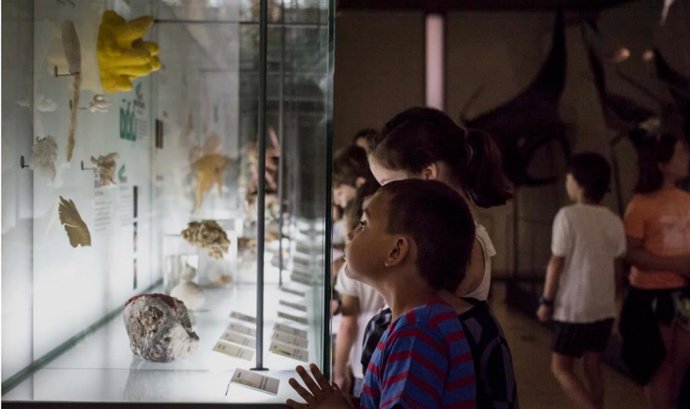 Museos de Tenerife presenta una nueva edición de 'Abierto por vacaciones', un proyecto de talleres navideños desarrollados en el Museo de la Ciencia y el Cosmos (MCC) y el Museo de Naturaleza y Arqueología (MUNA) para niños de cuatro a doce años.