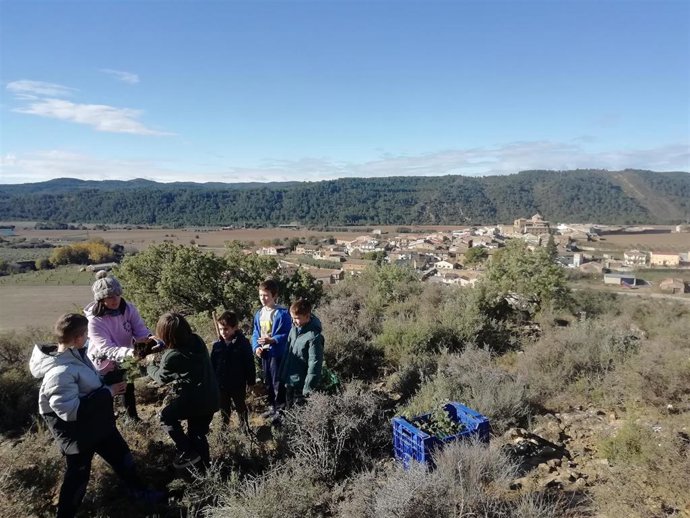 Una veintena de voluntarios se suma a una plantación de más de mil bellotas en Biscarrués (Huesca)