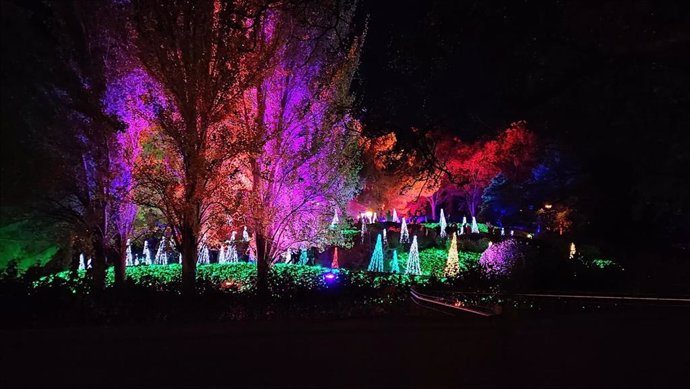 Luces en un parque urbano.