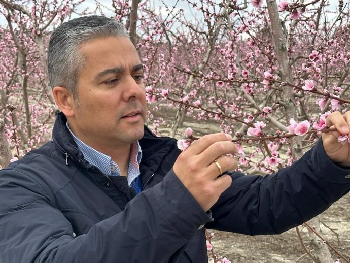 El diputado regional del PP Jesús Cano