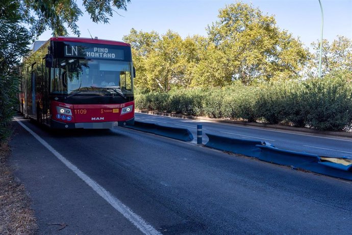 Archivo - Autobús de Tussam en circulación en un carril con separadores antes del desmantelamiento de los mismos