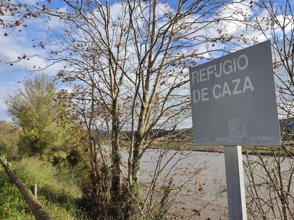 Coto de caza, ría de Villaviciosa