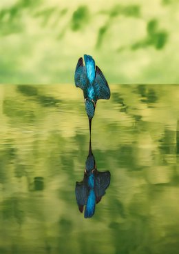 Diputación Toledo (Nota De Prensa Y Fotografías) Javier Hernández Sánchez Gana La Sexta Edición Del Concurso De Fotografía De La Diputación De Toledo