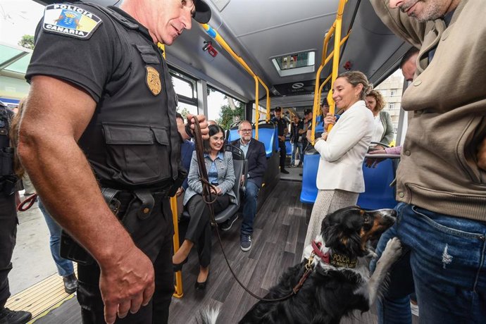 Un agente de la Policía Local en el interior de una Guagua Municipal