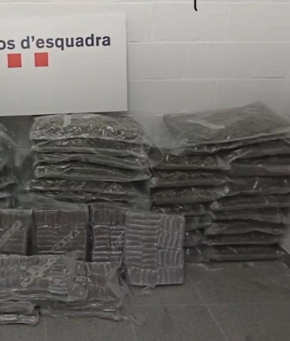 Droga intervenida.