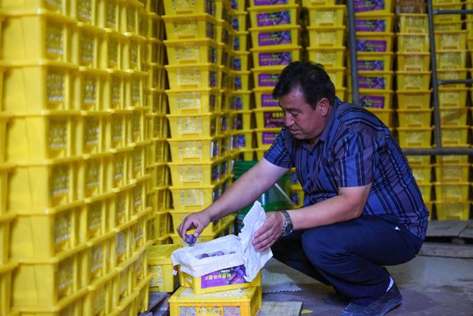 Una cooperativa agrícola en Payzawat, en la región de Xinjiang, en el noroeste de China