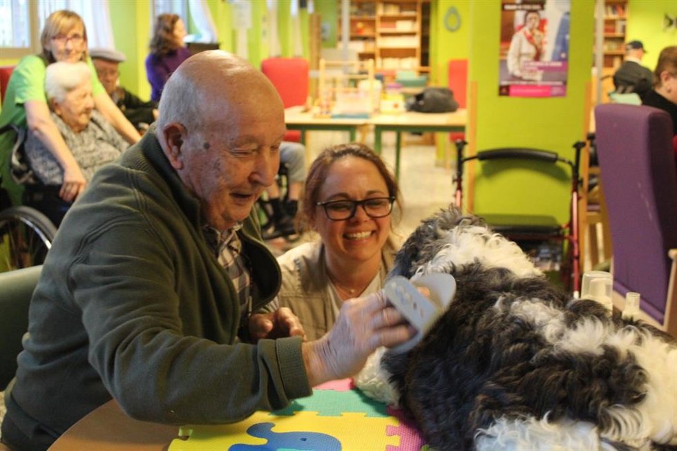 Febrero, el perro que ayuda a usuarios de la residencia Sagrado Corazón de Jesús de Cuenca a gestionar emociones.