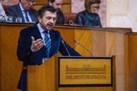 PP-A plantea en una PNL una Conferencia de Presidentes sobre pactos de Sánchez y recurrir la Ley de Amnistía en el TC