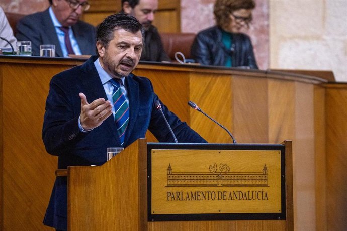 El portavoz del PP-A, Toni Martín, en una imagen de archivo en el Pleno del Parlamento. 