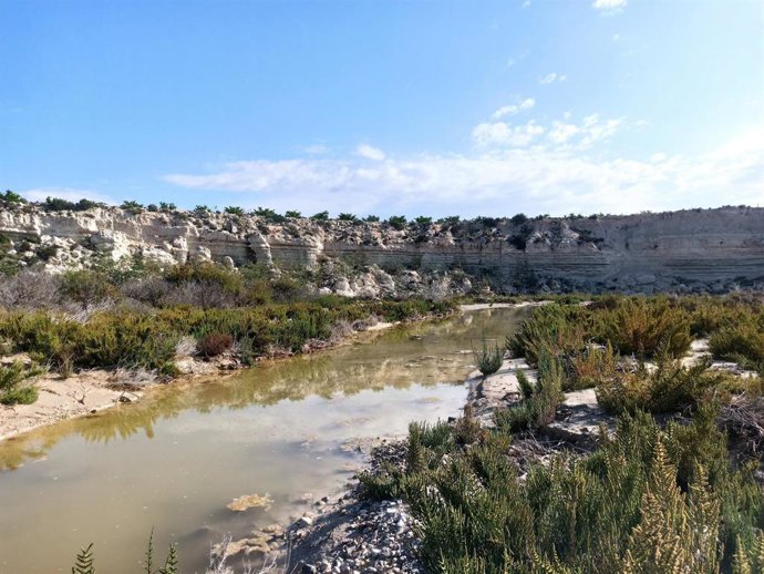Imagen del Humedal de Ajauque y Rambla Salada, donde se realizará el anillamiento de aves.