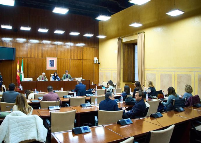 Sesión de la comisión de control de la Agencia Pública Empresarial de la RTVA y de sus Sociedades Filiales en el Parlamento andaluz. (Foto de archivo).