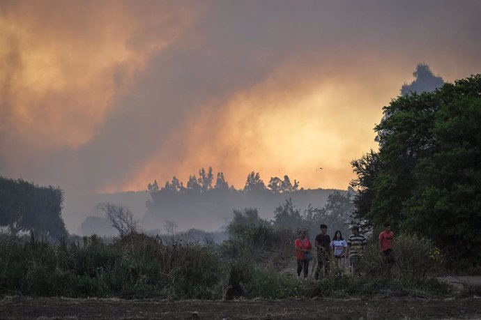 Limache, 9 de diciembre 2023 Un gran incendio forestal que afecta la comuna de Limache que a consumido 450 hectareas. Jose Veas/Aton Chile
