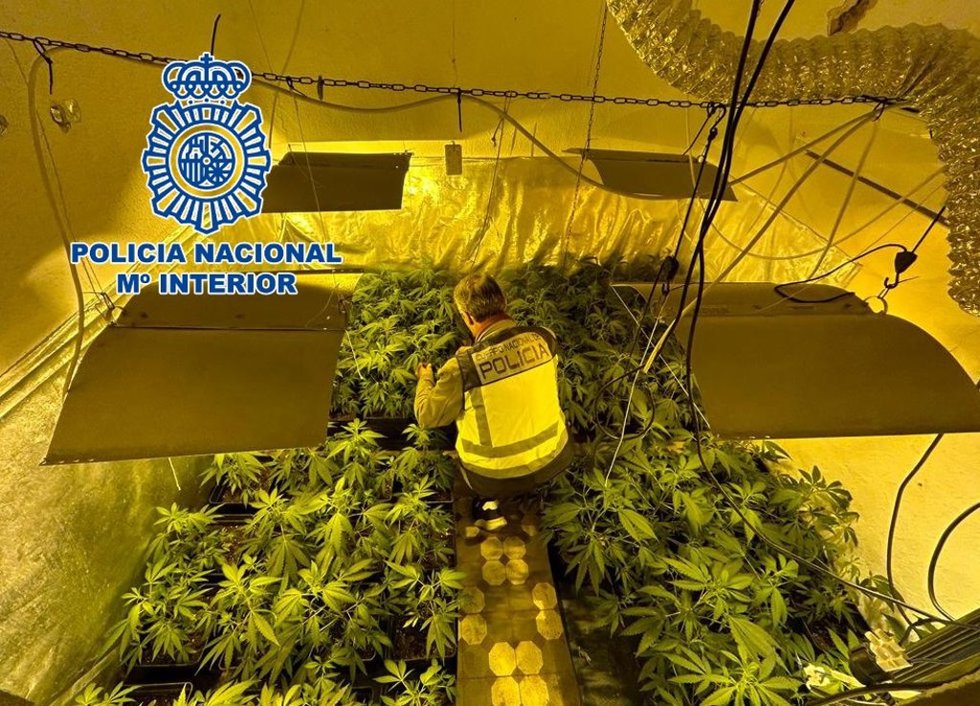 Droga intervenida