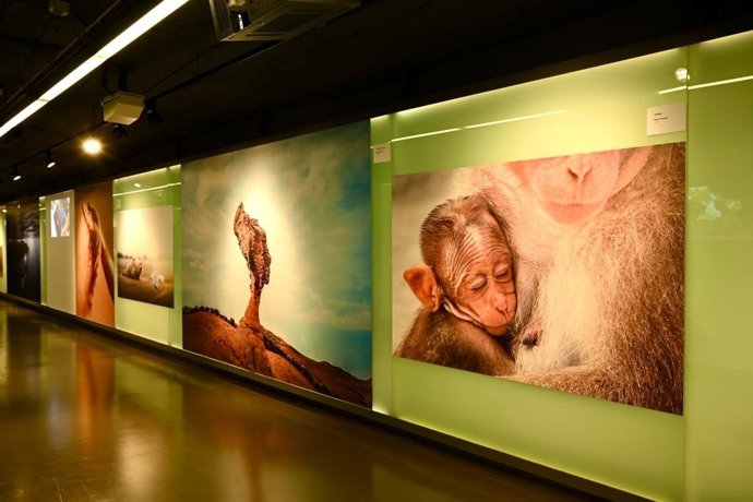 El Metro de Barcelona expone las fotografías y vídeos ganadores de los premios Climate Awards