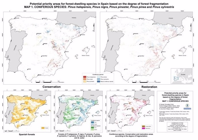 Mapa: áreas potenciales prioritarias para especies forestales en España basado en el grado de fragmentación forestal. Especies coníferas representadas: Pinus halepensis, pinus nigra, pinus pinaster, pinus pinea y pinus sylvestris.