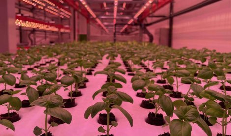 Comunicados Sociedad