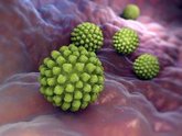 Foto: Descubren un nuevo mecanismo por el que el rotavirus provoca diarrea