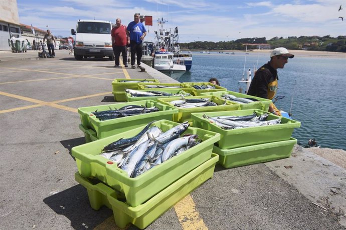 Archivo - Cajas de pescado en las inmediaciones donde está amarrado un barco gallego del que un pescador cayó al mar y se encuentra desaparecido, durante un dispositivo de búsqueda en el puerto de San Vicente de la Barquera, a 25 de abril de 2023, en Sa