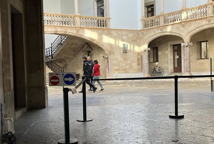 La mujer que trató de matar a sus hijos sedándolos con benzodiacepinas, conducida por la Policía Nacional en la Audiencia Provincial.