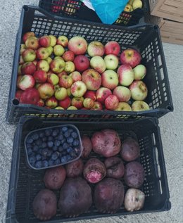 Proyecto para crear una red de comercialización de productos agroalimentarios de km 0.