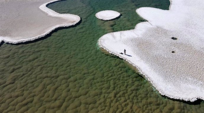 Montículos verdes de estromatolitos florecen en el fondo de una laguna en la Puna de Atacama de Argentina.