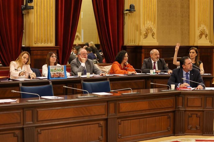 Los diputados de Vox en el Parlament.