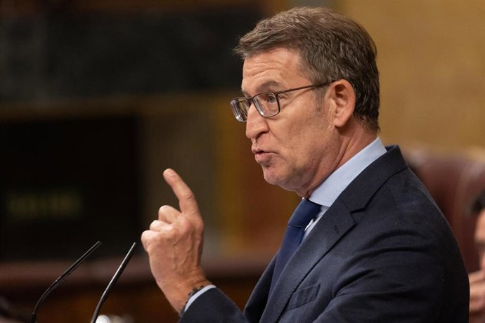 El presidente del PP, Alberto Núñez Feijóo, interviene durante una sesión plenaria, en el Congreso de los Diputados, a 12 de diciembre de 2023, en Madrid (España). El Pleno del Congreso acoge hoy el primer debate de la proposición de Ley de Amnistía reg