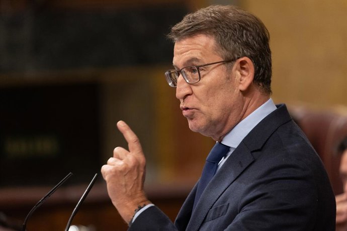 El líder del PP, Alberto Núñez Feijóo