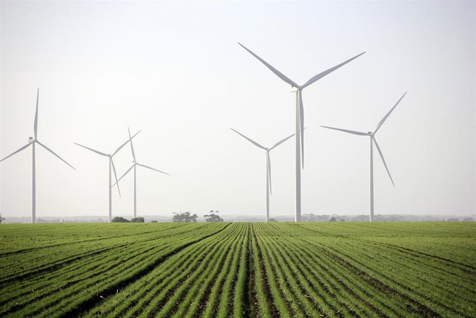 Archivo - Naturgy alcanza los 395 MW en operación en Australia con la puesta en marcha de su tercer parque eólico