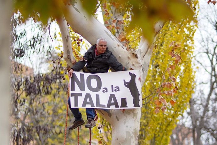 Vecinos de Arganzuela junto con Rebelión o Extinción se han movilizado tras el inicio de las talas en el parque de Arganzuela por las obras de ampliación del metro, que provocará la tala de más de 160 ejemplares del parque (11 de diciembre 2023).