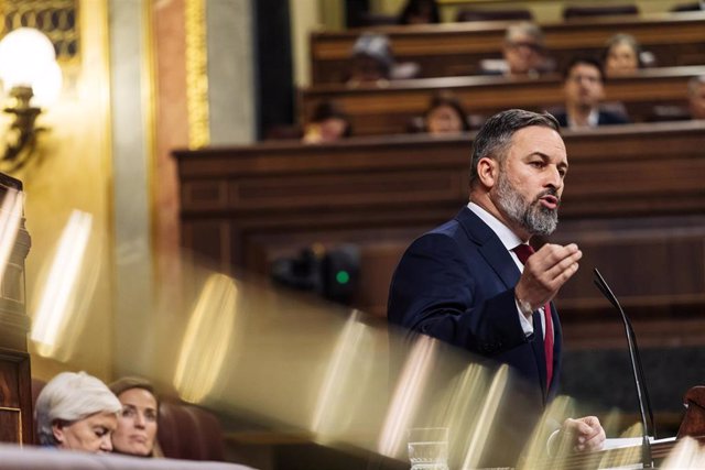 El líder de VOX, Santiago Abascal, interviene durante una sesión plenaria, en el Congreso de los Diputados, a 12 de diciembre de 2023, en Madrid (España).