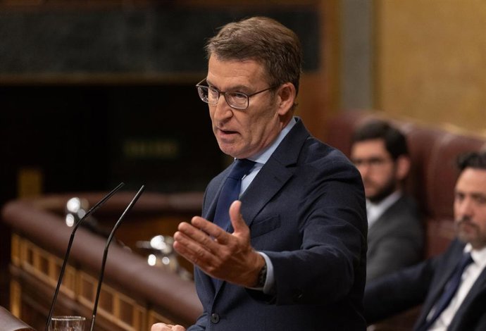 El líder del PP, Alberto Núñez Feijóo, interviene durante una sesión plenaria, en el Congreso de los Diputados, a 12 de diciembre de 2023, en Madrid (España). El Pleno del Congreso acoge hoy el primer debate de la proposición de Ley de Amnistía registra