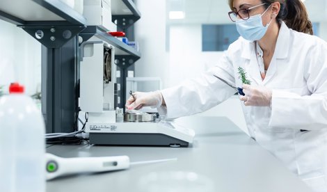 Comunicados Sociedad