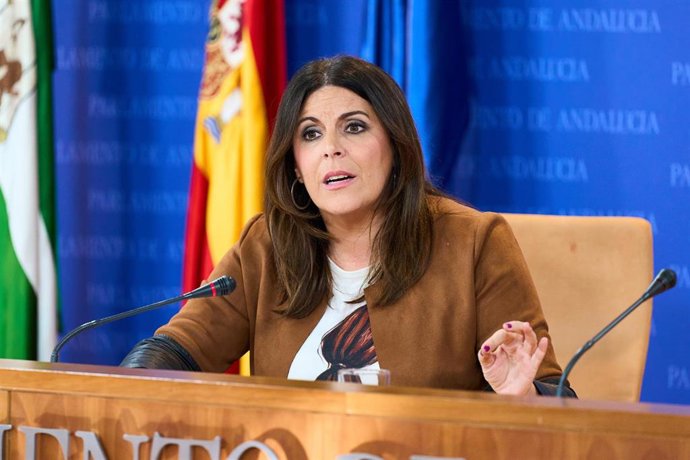 La portavoz del Grupo Parlamentario Socialista, Ángeles Férriz, en una foto de archivo en rueda de prensa.