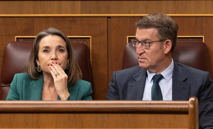 La secretaria general del PP, Cuca Gamarra y el presidente del PP, Alberto Núñez Feijóo, durante una sesión de control al Gobierno, en el Congreso de los Diputados, a 13 de diciembre de 2023, en Madrid (España). El Congreso celebra su primera sesión de 