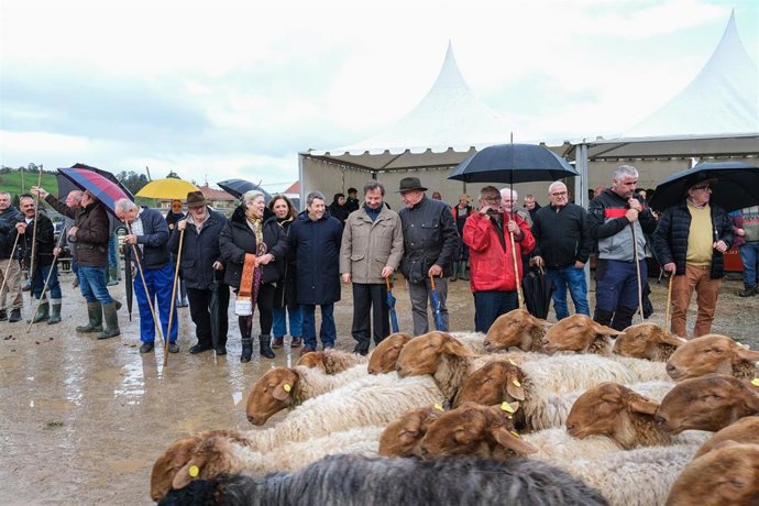 Feria ganadera de Santa Lucía, en Cabezón de la Sal.