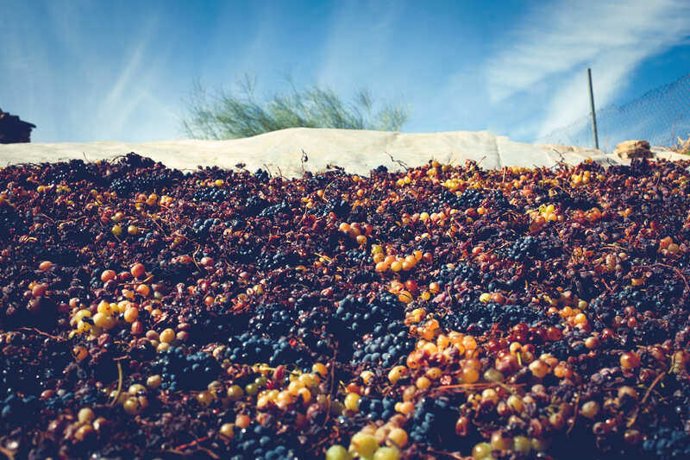 Uvas pasas en una imagen de archivo