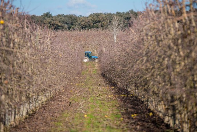 Una explotació agrícola