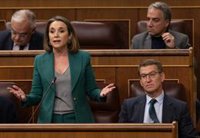 Gamarra apunta a que el PP llamará al mediador en la comisión de investigación y que la impulsarán "pronto"