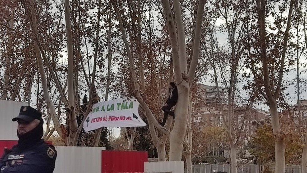 Tala de árboles en Arganzuela