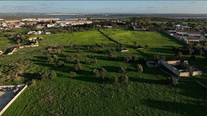El Ayuntamiento de San Fernando recibe el proyecto de ejecución del nuevo estadio de atletismo