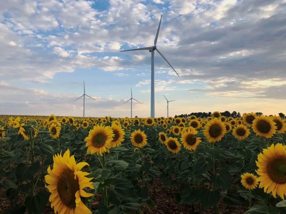 Parque eólico de Iberdrola