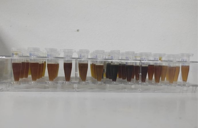 Extractos de hojas de arándano con cloruro de colina y ácido oxálico.