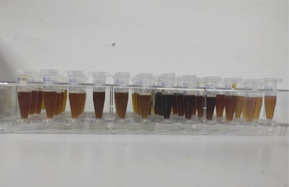 Extractos de hojas de arándano con cloruro de colina y ácido oxálico.