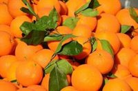 C-LM ve positivo que se esté frenando la subida y afirma que la política monetaria del BCE está teniendo "efectos"