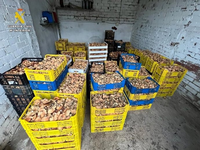 Remitiendo Nota De Prensa