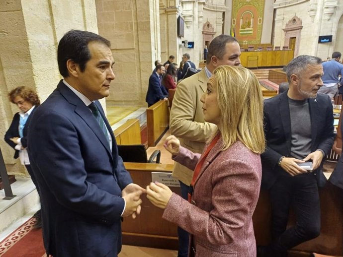 El consejero de Justicia, Administración Local y Función Pública, José Antonio Nieto, en el Pleno del Parlamento de Andalucía.